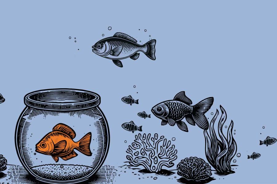 Illustration ein Goldfisch im Glas innerhalb eines Aquariums